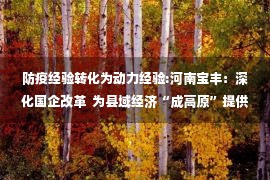 防疫经验转化为动力经验:河南宝丰：深化国企改革  为县域经济“成高原”提供新动力