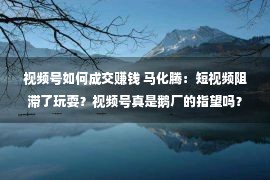 视频号如何成交赚钱 马化腾：短视频阻滞了玩耍？视频号真是鹅厂的指望吗？