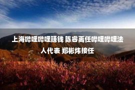 上海哔哩哔哩赚钱 陈睿离任哔哩哔哩法人代表 郑彬炜接任