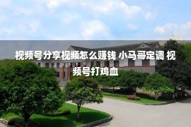 视频号分享视频怎么赚钱 小马哥定调 视频号打鸡血