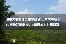 山东大爷做什么生意赚钱 山东大爷包下30亩地栽培此树，3年后成为村里首富，全村人的指望