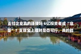 支付企业真的赚钱吗 6亿投资者成“韭菜”？支拨宝上理财是否可行，真的能赚到钱吗？