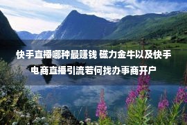 快手直播哪种最赚钱 磁力金牛以及快手电商直播引流若何找办事商开户