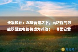  长篇锐评：双碳背景之下，高炉煤气鼓鼓双超发电终将成为鸡肋！｜《武安君》年初巨献（1）