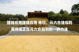 赚钱应用赚钱应用 他日，元六合钱包利用将是正在元六合赢利的一种办法