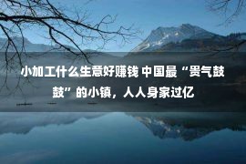 小加工什么生意好赚钱 中国最“贵气鼓鼓”的小镇，人人身家过亿