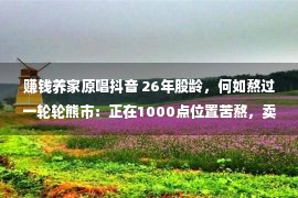 赚钱养家原唱抖音 26年股龄，何如熬过一轮轮熊市：正在1000点位置苦熬，卖股票养家、贷款做糊口费……多少乎永久满仓，大跌何以没有作用我的夜夜安枕？