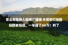 怎么帮助别人做推广赚钱 夫君帮打赌网站群发短信，一年赚了40万！判了