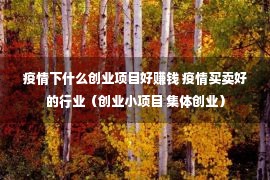 疫情下什么创业项目好赚钱 疫情买卖好的行业（创业小项目 集体创业）