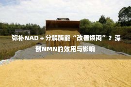  弥补NAD＋分解酶能“改善烦闷”？深剖NMN的效用与影响