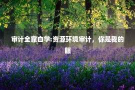 审计全靠自学:资源环境审计，你是我的眼