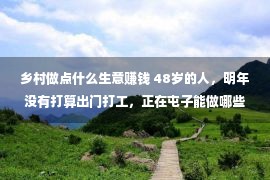 乡村做点什么生意赚钱 48岁的人，明年没有打算出门打工，正在屯子能做哪些较为赢利的买卖？