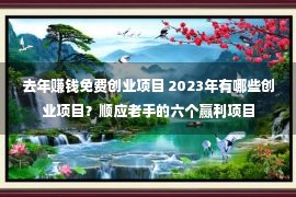 去年赚钱免费创业项目 2023年有哪些创业项目？顺应老手的六个赢利项目