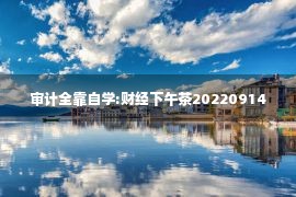 审计全靠自学:财经下午茶20220914