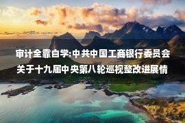 审计全靠自学:中共中国工商银行委员会关于十九届中央第八轮巡视整改进展情况的通报————要闻——中央纪委国家监委网站