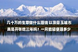 几十万的生意做什么赚钱 以及田玉墟市真是开张吃三年吗？一月能轻便赚多少十万？别再曲解了