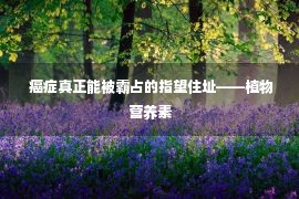  癌症真正能被霸占的指望住址——植物营养素