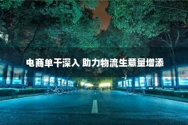  电商单干深入 助力物流生意量增添