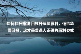 如何杠杆赚钱 用杠杆头脑赢利，低告急高回报，这才是普遍人正确的赢利姿式