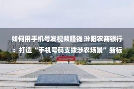 如何用手机号发视频赚钱 汾阳农商银行：打造“手机号码支拨涉农场景”新标杆