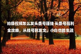 拍摄视频怎么发头条号赚钱 头条号赢利全攻略，从挂号到发文，小白也能生疏