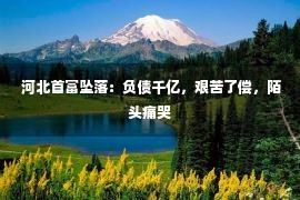  河北首富坠落：负债千亿，艰苦了偿，陌头痛哭