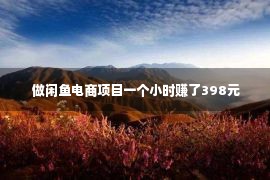  做闲鱼电商项目一个小时赚了398元