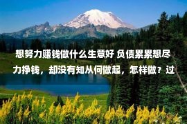 想努力赚钱做什么生意好 负债累累想尽力挣钱，却没有知从何做起，怎样做？过来人是这样干的