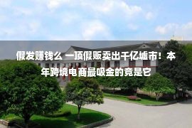 假发赚钱么 一顶假贩卖出千亿墟市！本年跨境电商最吸金的竟是它