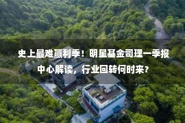  史上最难赢利季！明星基金司理一季报中心解读，行业回转何时来？