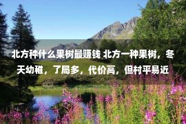 北方种什么果树最赚钱 北方一种果树，冬天幼稚，了局多，代价高，但村平易近却没有爱栽培