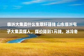 临沂大集卖什么生意好赚钱 山东临沂屯子大集卖煤人，煤价降到1元钱，冰冷冬天给农夫送去暖和