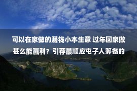 可以在家做的赚钱小本生意 过年回家做甚么能赢利？引荐最顺应屯子人筹备的8个小本买卖！