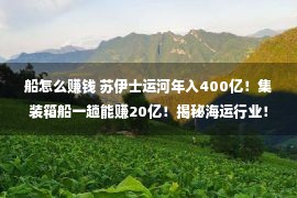 船怎么赚钱 苏伊士运河年入400亿！集装箱船一趟能赚20亿！揭秘海运行业！