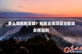  甚么是刷脸支拨？刷脸支拨项目主假如怎样赢利