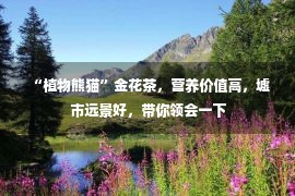  “植物熊猫”金花茶，营养价值高，墟市远景好，带你领会一下