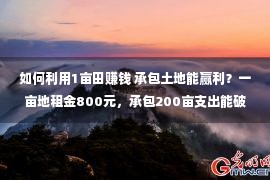 如何利用1亩田赚钱 承包土地能赢利？一亩地租金800元，承包200亩支出能破20万？