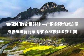 如何利用1亩田赚钱 一亩田参预绝对流量资源扶助新商家 帮忙农业损耗者线上卖货