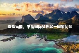  直指氢能，中钢国际负担又一国家问题