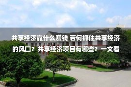 共享经济靠什么赚钱 若何抓住共享经济的风口？共享经济项目有哪些？一文看懂规范案例