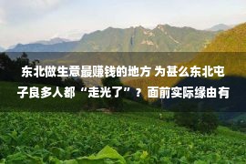 东北做生意最赚钱的地方 为甚么东北屯子良多人都“走光了”？面前实际缘由有三