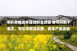 羊的养殖成本赚钱创业项目 春节只剩十来天，羊价没有涨反跌，养羊户是卖依然没有卖好？