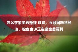 怎么在家坐着赚钱 官宣，互联网粉丝经济，你也也许正在家坐着赢利