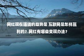 网红现在赚钱的趋势是 互联网是怎样赢利的？网红有哪些变现办法？