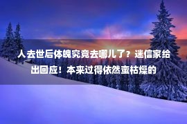  人去世后体魄究竟去哪儿了？迷信家给出回应！本来过得依然蛮枯燥的