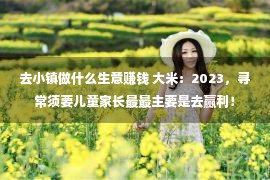 去小镇做什么生意赚钱 大米：2023，寻常须要儿童家长最最主要是去赢利！