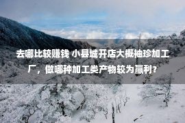 去哪比较赚钱 小县城开店大概袖珍加工厂，做哪种加工类产物较为赢利？