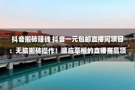 抖音搬砖赚钱 抖音一元包邮直播间项目：无脑搬砖操作！顺应草根的直播商品项目