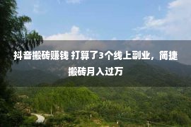 抖音搬砖赚钱 打算了3个线上副业，简捷搬砖月入过万