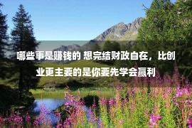 哪些事是赚钱的 想完结财政自在，比创业更主要的是你要先学会赢利